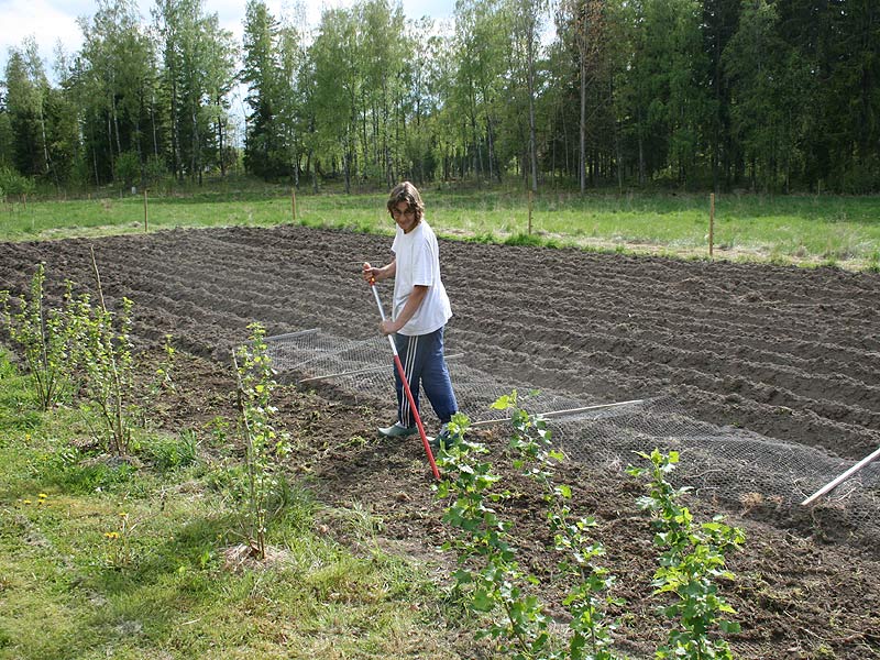 Graben, grubbern, jäten, harken...