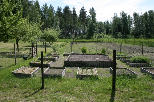 Sauberer Gemüsegarten