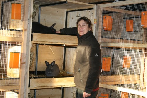 Den Kaninchen geht es gut.