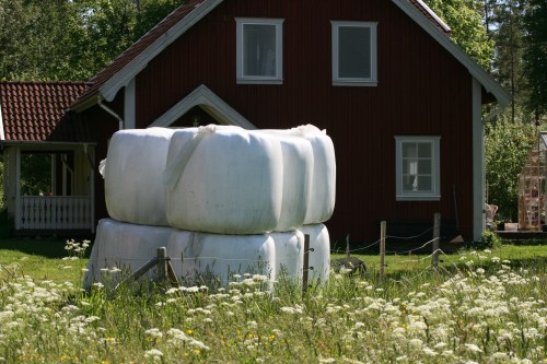 Wiese, Silageballen und ein Haus