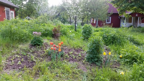 20160525_175615.jpg image