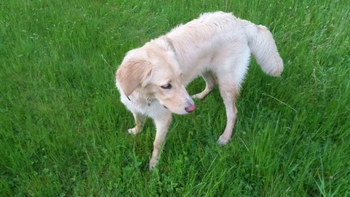 20160525_210933.jpg image