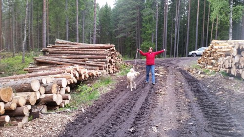 20160526_172448.jpg image