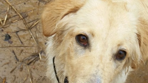 20160527_150055.jpg image